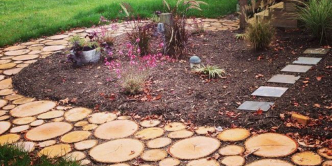 Udělej si sám cestu řezu stromu: jak to udělat