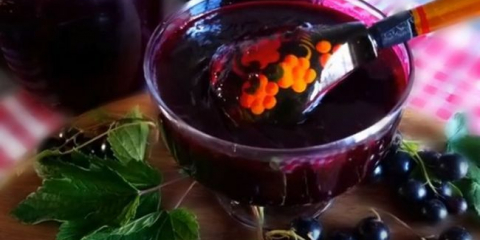 Džem z černého rybízu - 11 jednoduchých receptů na zimu