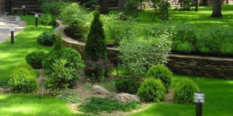 Feng shui webu - pravidla zónování, příklady nejlepších nápadů a jejich aplikace v krajinném designu (110 fotografií + video)