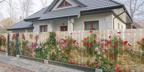 Fotoploty: foto pletivo na ploty