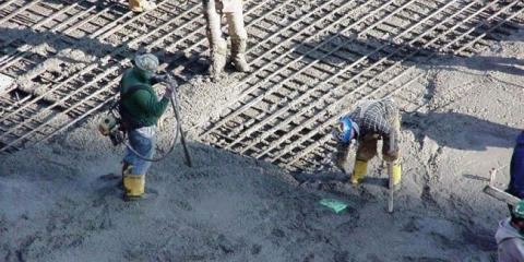 Základy: odrůdy a vlastnosti