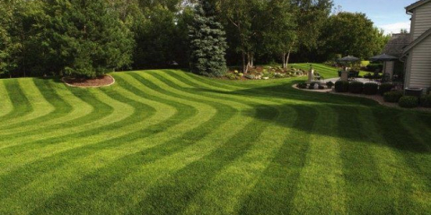 Trávník sekačky benzín samohybný: rating nejlepších modelů 2015