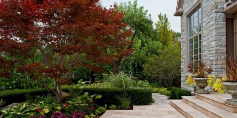 Hosta v krajinném designu: funkce péče a 80 harmonických kompozic pro zahradu