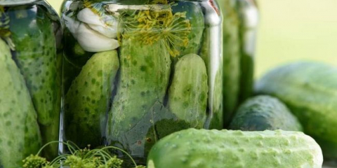 Křupavé nakládané okurky - 10 nejlepších receptů ve sklenicích na zimu