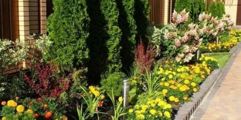 Nápady na zdobení a zdobení plotů v zemi