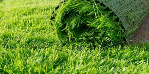 Umělé trávníku - 165 fotografií pokládání trávníku a tajemství použití v krajinném designu