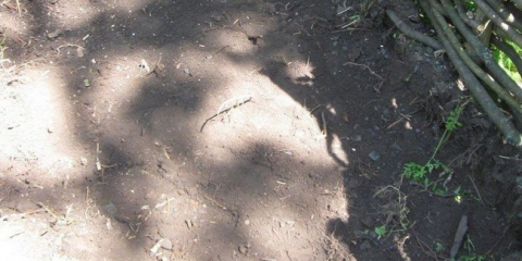 Dělat zahradní trati z protokolů