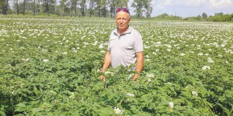 Efektivní plevele - přehled nejlepších prostředků a metod odstraňování plevelů. Geotextilie a pravidla pro jeho pokládání (145 fotografií a videa)