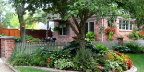 Jak udělat záhonu kolem stromu - krok za krokem průvodce