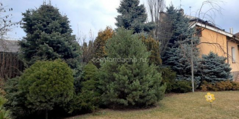 Jak udělat terénní úpravy místa v blízkosti venkovského domu vlastníma rukama