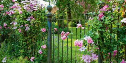 Brána pro letní sídlo - tipy pro výběr a zdobení krásných a originálních bran (110 fotografií)