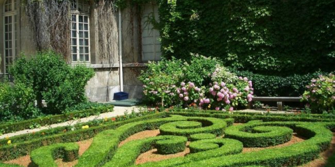 Květinový záhon s květinami v krajinném designu chaty