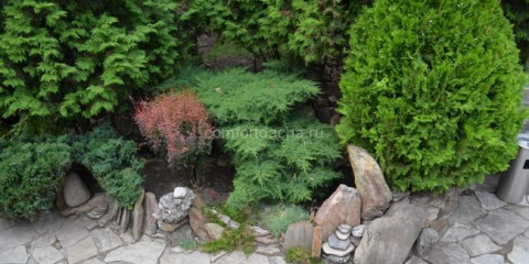 Záhon s jehličnany: schéma přistání, květinový design