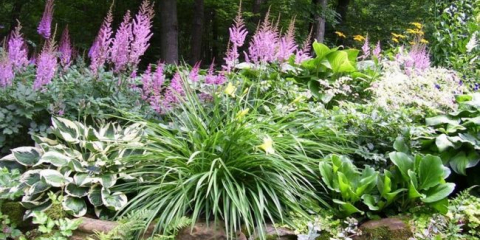 Květinový záhon ve stínu v blízkosti domu - funkce organizace a výběru rostlin