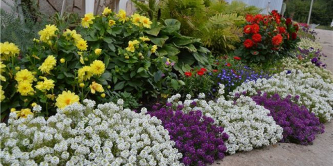 Květinové záhony - dekorace dvora u soukromého domu