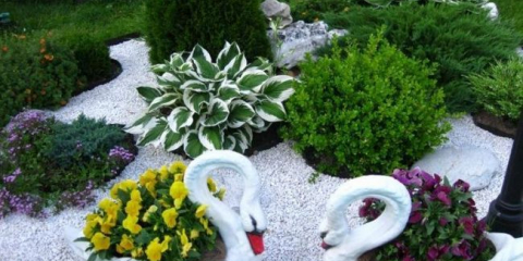 Květinové záhony v zemi