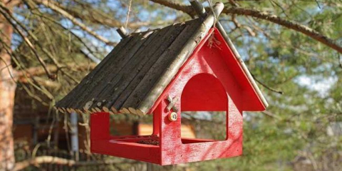 Diy krmítko pro ptáky - nejlepší nápady na výrobu jednoduchých, krásných a praktických krmítek pro ptáky (90 fotografií)