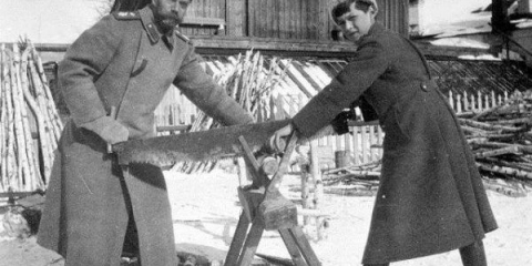 Kozy pro řezání palivového dřeva s vlastními rukama