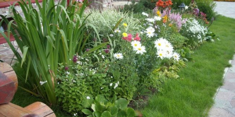 Krásný design květinových záhonů a květinových záhonů