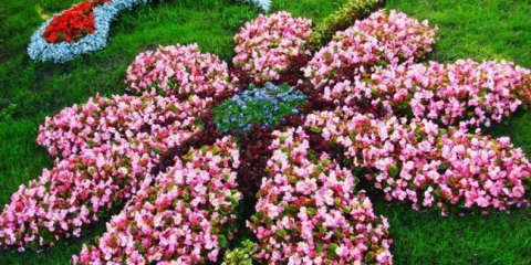 Krásné záhony v zemi to udělat sami