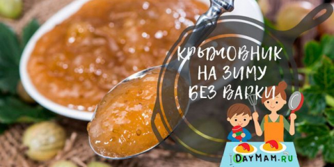 Gooseberry pro zimu bez vaření: nejlepší recepty