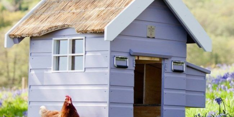 Kuře s vlastními rukama (80+ nápady pro stavebnictví): výběr designu a materiálů