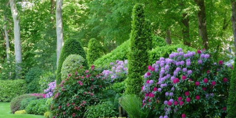 Keře, které kvetou celé léto, mrazuvzdorné, trvalé - vlastnosti