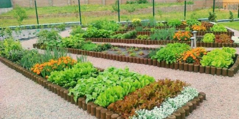 Design krajiny území se zahradou