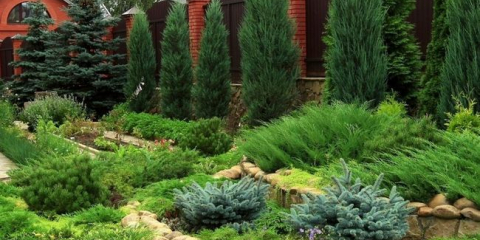 Krajina design pozemku u soukromého domu s jehličnatými rostlinami