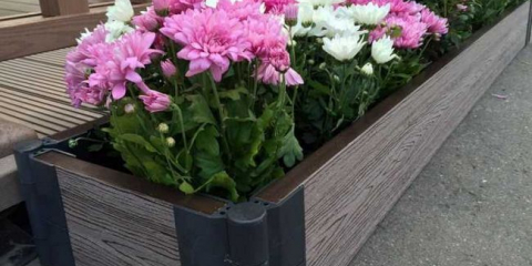 Nejlepší plot pro lůžka - populární nápady plotů a tipů na výběru možností plotu (125 fotografií a videa)