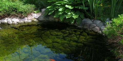 Nejlepší doporučení pro uspořádání umělé nádrže na místě