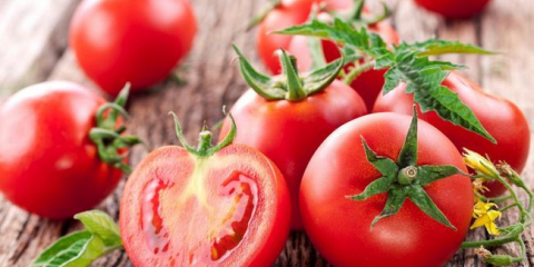 Top tomato odrůdy pro 2021: nejvíce zatracená a vynikající rajčata pro skleníky, otevřená půda