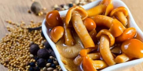 Nakládané houby na zimu: 5 nejchutnějších receptů