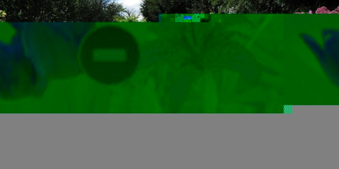 Mixborders v krajinném designu vašeho webu