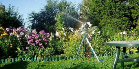 Čerpadlo pro zalévání zahrady: vyberte si nejlepší volbu