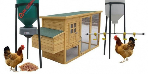 Uspořádání kuřecího koše to sami - krok za krokem pokyny