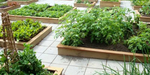 Zahrada v oblasti země - instrukce krok za krokem jak rozbít správnou zahradu (130 fotografií)