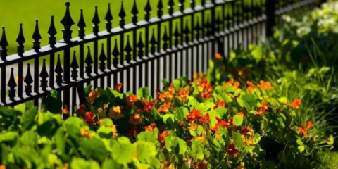 Oplocení pro květiny a postele: 70+ luxusní nápady, které budou převést vaši zahradu