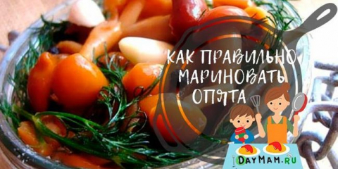 Nakládané houby na zimu - 7 receptů na vaření