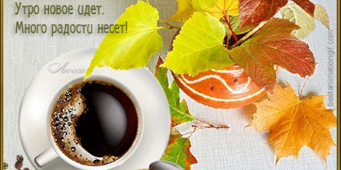 Pohlednice s dobrým podzim v dopoledních hodinách a dobrá nálada (ke stažení zdarma)