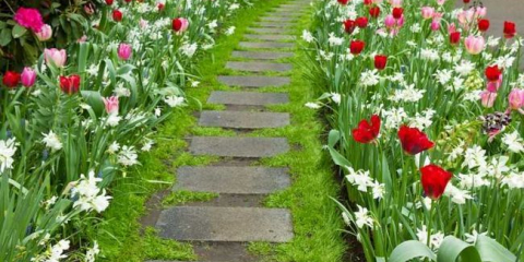 Terénní úpravy dvora: 155 fotografií a video s popisem toho, jak upravit místo