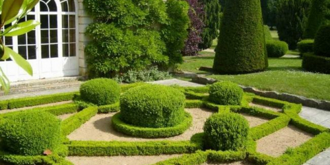 Terénní úpravy webu - popis možností designu a stylových návrhů pozemků (135 fotografií)