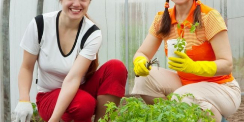 Skleník to udělat sami