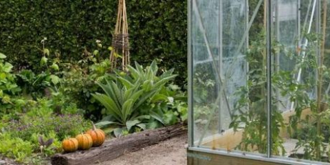 Příprava skleníků pro zimu: důležité kroky zpracování skleníku
