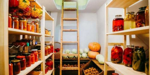 Sklep pro letní sídlo - top 110 možností fotografií pro sklepy pro letní sídlo. Rady pro výběr materiálů. Pokyny pro všechny fáze výstavby. Interní práce