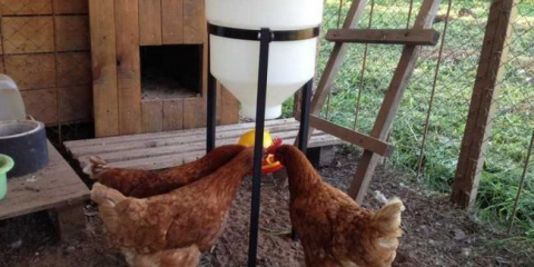 Služba pití s ​​vlastními rukama: výběr typu konstrukce. Vlastnosti jednoduchých a komplexních produktů, master class vytvoření přítele