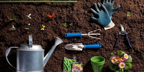 Dny výsadby v dubnu 2022: lunární kalendář, termíny výsadby