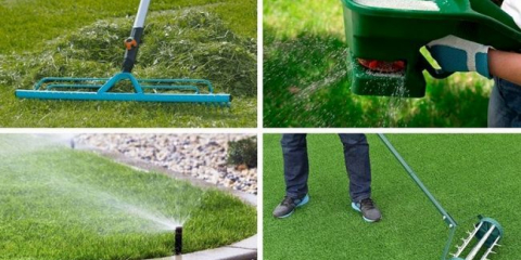 Pravidla péče o trávník po celý rok