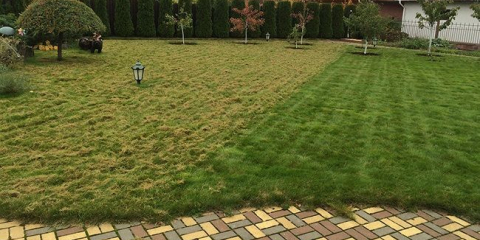 Recenze skarianta pro trávník