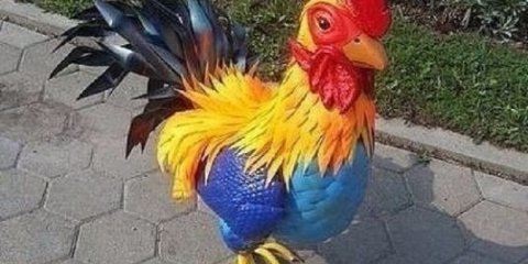 Plastové lahve ptáků